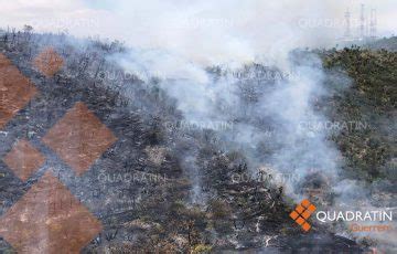 Da An Casi Mil Hect Reas Incendios Forestales En Guerrero