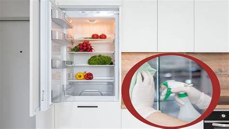 Cómo limpiar el refrigerador y quitar malos olores Ser Zen