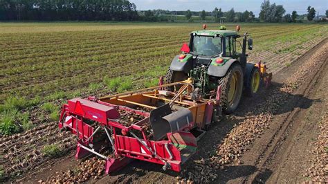 Uien Rooien Harvesting Onions Zwiebeln Roden Maclouis Keulmac