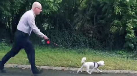 Divertente Video Di Un Uomo Che Porta Per La Prima Volta A Spasso Un