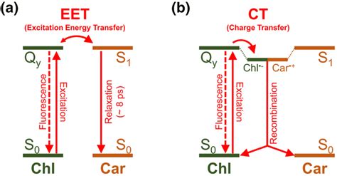 Schematic Energy Level Diagrams Illustrating The Steps Involved In The