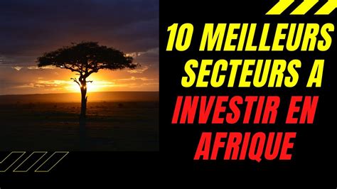 Ou Investir En Afrique Secteurs Le Plus Prometteurs A Investir En