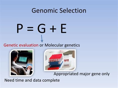 PPT Genomic Selection In Dairy Cattle PowerPoint Presentation ID