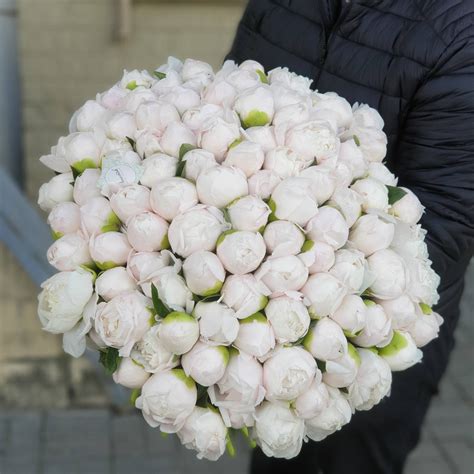 Букет из 101 пиона купить в Минске, закажи, а мы доставим.