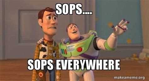 Sops Sops Everywhere Buzz And Woody Toy Story Meme Meme Generator