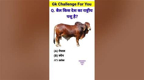 बैल किस देश का राष्ट्रीय पशु है।gk Questions Gk Questions And