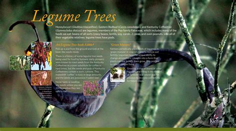 klehm arboretum & botanic garden 6