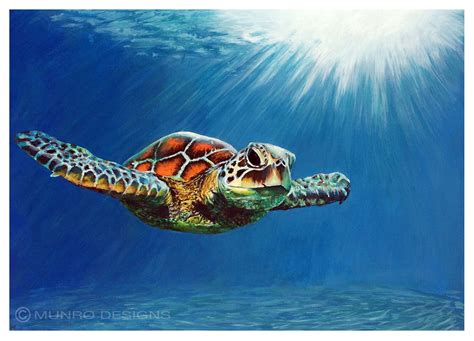 paintings  sea turtles underwater