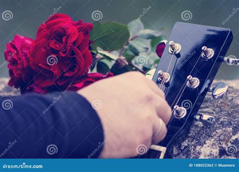 Cierre De La Cabeza De Guitarra Y Ramo De Rosas Rojas Foto De Archivo