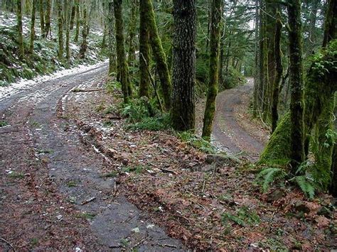 Gorge Trail Tanner Creek Road Portage Road Connector Trail Junction