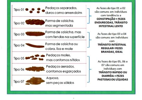 Fazer Cocô Todo Dia É Normal