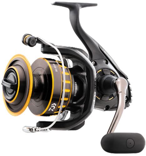 7 Best Saltwater Fishing Reels - AquaViews