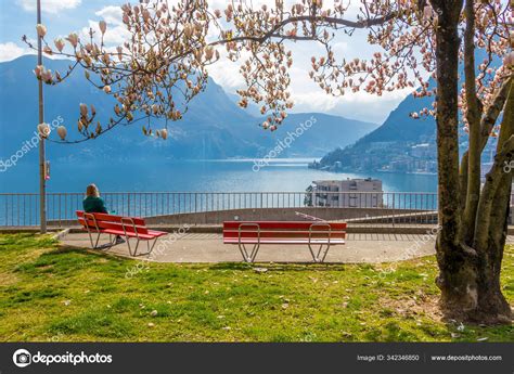 Girl Enjoying City View From A Bench Under The Magnolia Tree At The