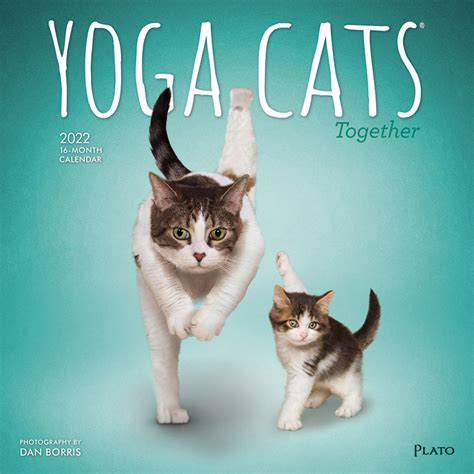 Yoga Cats Together OFFICIAL 2022 Square Wall Calendar By Plato Plato