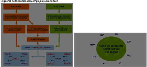 Fundamentos De La Ciencia Historia De La Ciencia Del Suelo Edafolog A