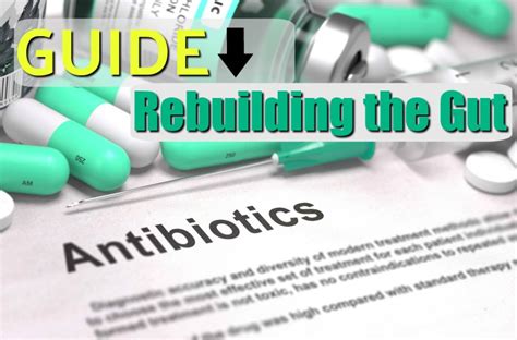 How to Repair Your Gut After Antibiotics - Healthy Home Economist
