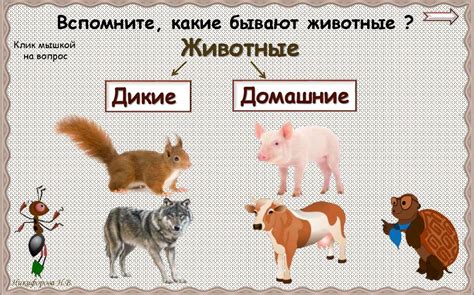 Дикие и домашние животные. Окружающий мир. 2 класс - презентация онлайн
