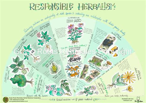 Responsible Herbalism Poster - My WordPress