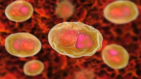 Could An Antibiotic Taken After Unprotected Sex Prevent Stis What To Know About Doxy Pep