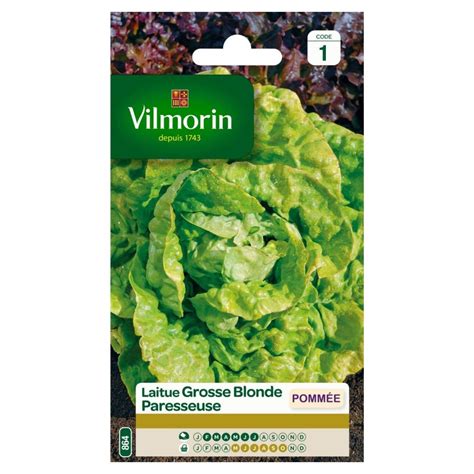 VILMORIN LAITUE POMMÉE Grosse Blonde Paresseuse SACHET 864 Code 1