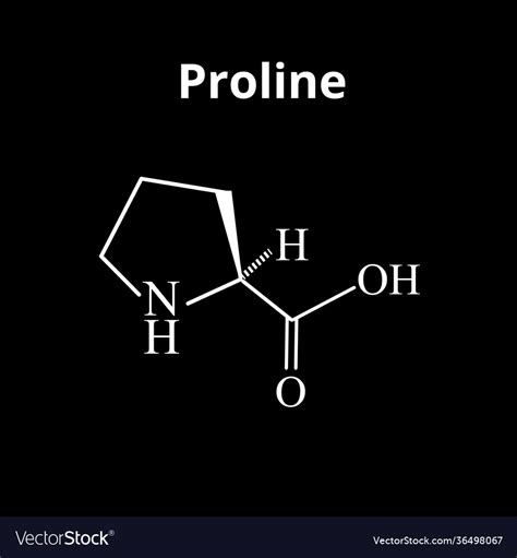 Amino Acid Proline Chemical Molecular Formula Vector Image