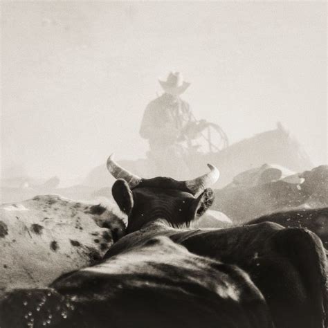 Pin By Kailee Bennett On Artsy Fartsy Cowboy Photography Western