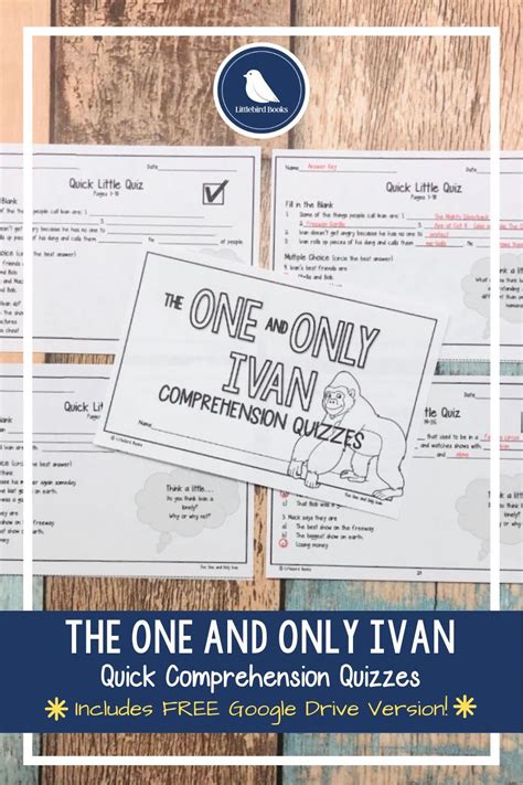 The One And Only Ivan Comprehension Questions Novel Study