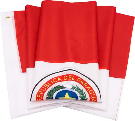 Buy Danf Paraguay Flag 3x5 Ft Paraguayan Paraguaian National Flags Polyester With Brass Grommets