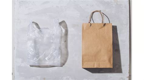 Whats The Most Eco Friendly Material For Shopping Bags Ansys