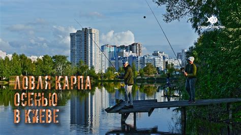 Поймали 70 кг карпа за 2 суток | Ловля карпа осенью в городе Киеве ...