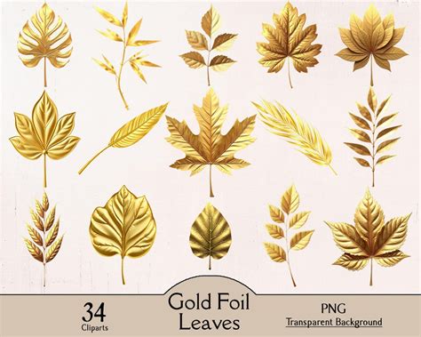 gold foil leaves  png cliparts gold leaves palm leaf pine tree