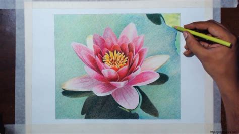 Colored Pencil Flower Tutorial : Is creating animal art tutorials in ...