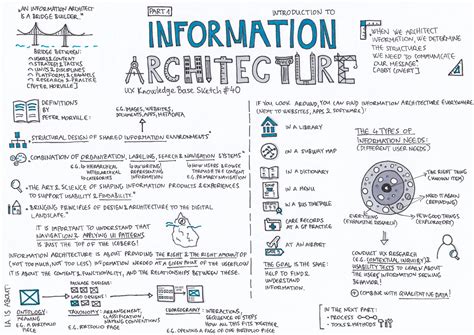 popular information architecture design