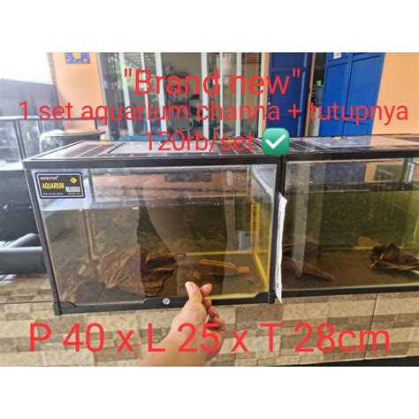 Jual Nikita Aquarium Channa Set Lengkap Dengan Tutup Venus