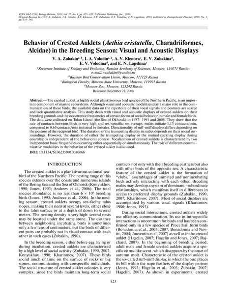 (PDF) Behavior of the crested auklet (Aethia cristatella, Charadriiformes, Alcidae) in breeding ...