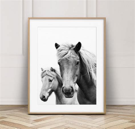 Horse Print Horse Photo Black & White Wilderness Print | Etsy