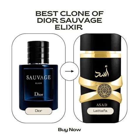 Dior Sauvage Elixir Clone Lattafa Asad Men Perfume Best Perfume