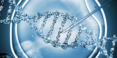 A Short Introduction To Genetics – Understanding Your Body Written In 46 Chromosomes.