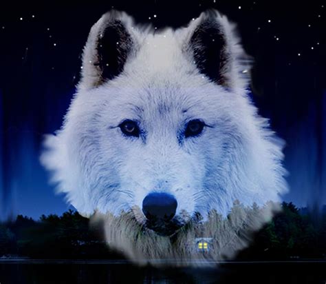 Ghost Wolf Digital Art by Pam Beal - Fine Art America