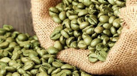 Green Coffee Beans Price For DIYers