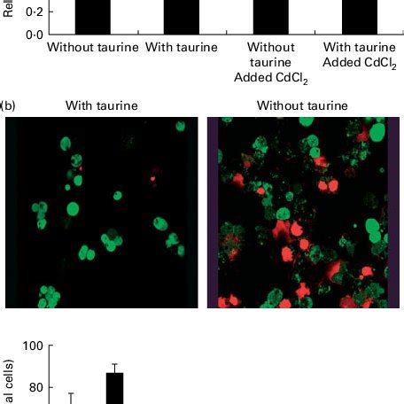 A Taurine Supplementation Improved Viability P While The