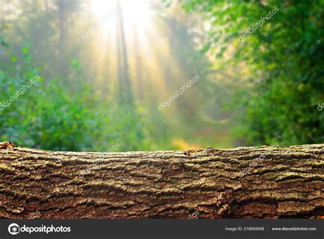 Wooden Log Background