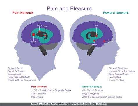 Wire Your Brain For Gratitude Smarttribes Institute