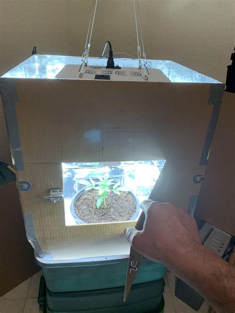 First grow. Budget attempt. : r/SpaceBuckets