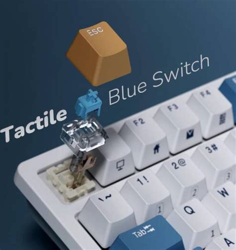 RK Royal Kludge RK98 Wireless Mechanical Keyboard Triple Mode 2 4G BT5 1 USB C 100 Keys Hot