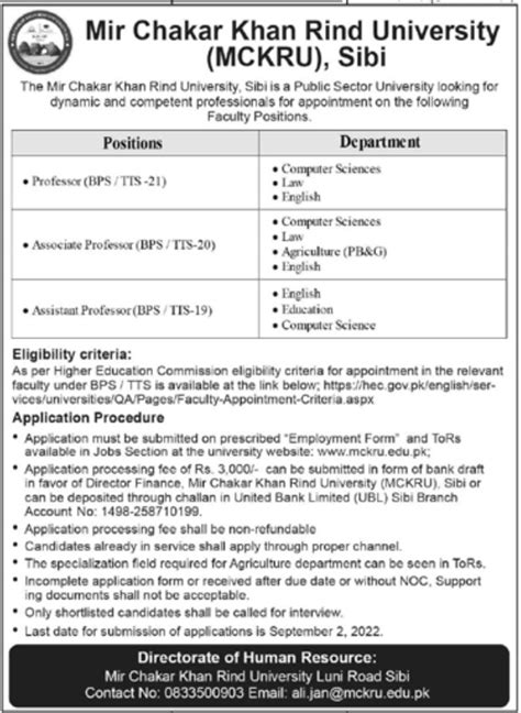 Mir Chakar Khan Rind University Sibi Jobs August 2022