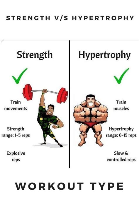 Top 10 muscle hypertrophy ideas and inspiration