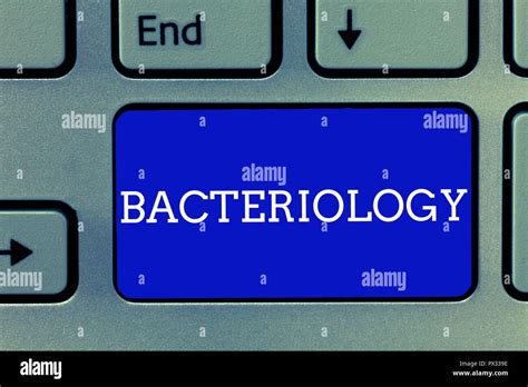 Bacteriolog A Texto De Escritura A Mano Concepto Significado Rama De