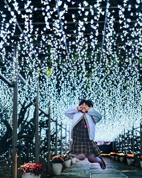 Ashikaga Flower Park | Flowers & Illuminations | Kyuhoshi