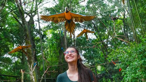 Ingresso Parque Das Aves My Travel